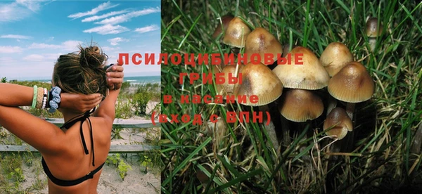 прущие крисы Козельск