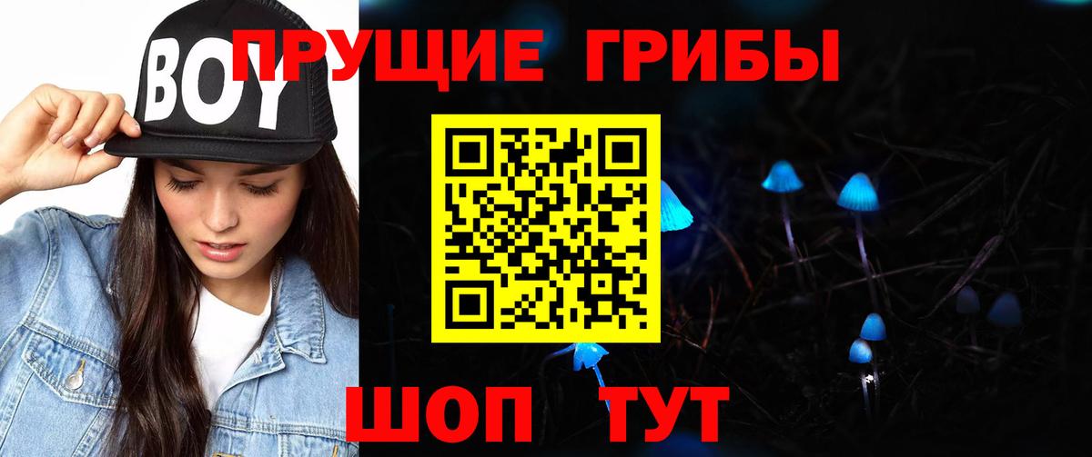 Псилоцибиновые грибы Psilocybe  Невинномысск  цены   Псилоцибиновые грибы MAGIC MUSHROOMS 